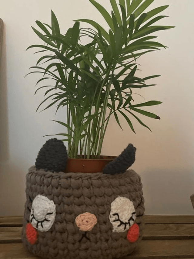Panier cache pot chat